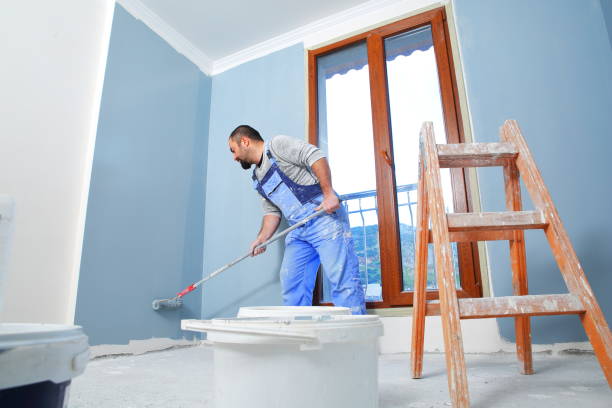Mold Removal for HVAC Installations in Wilmington, IL
