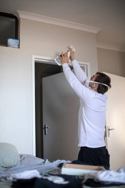 Best Residential Mold Inspection & Testing  in Wmington, IL