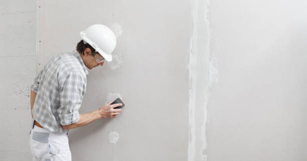 Best Emergency Mold Remediation  in Wmington, IL