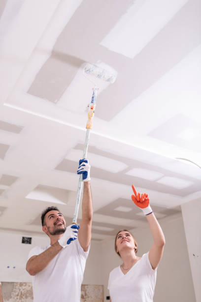 Best Air Quality Testing for Mold Spores  in Wmington, IL