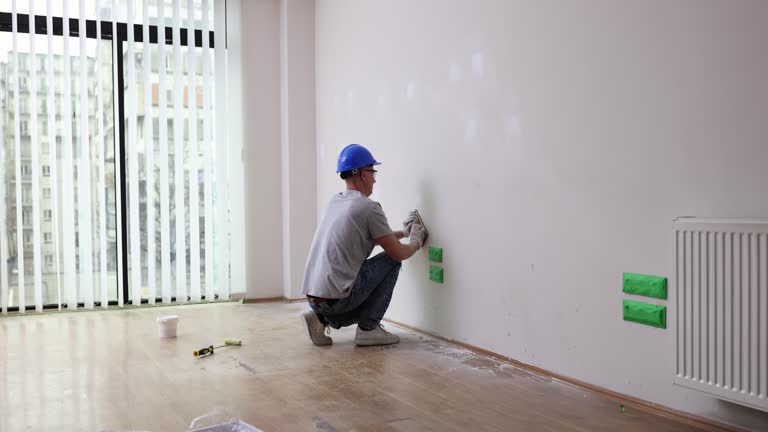 Best Mold Documentation for Insurance Claims  in Wmington, IL