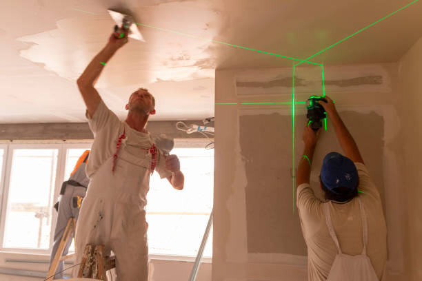 Best Attic Mold Removal  in Wmington, IL