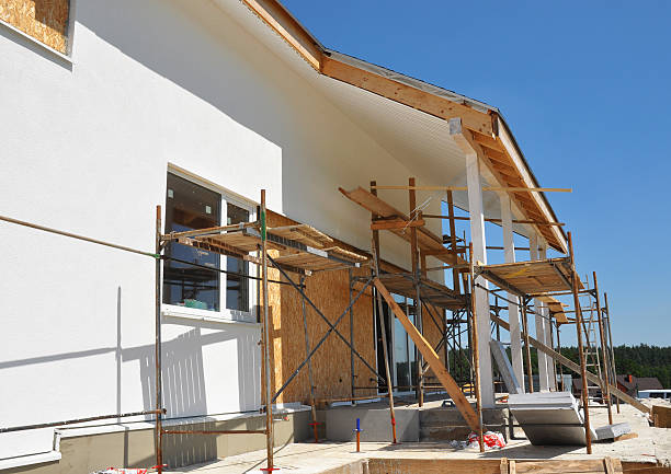 Best Industrial Mold Remediation  in Wmington, IL