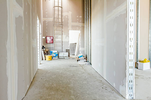 Best Comprehensive Air Testing for Mold Contaminants  in Wmington, IL