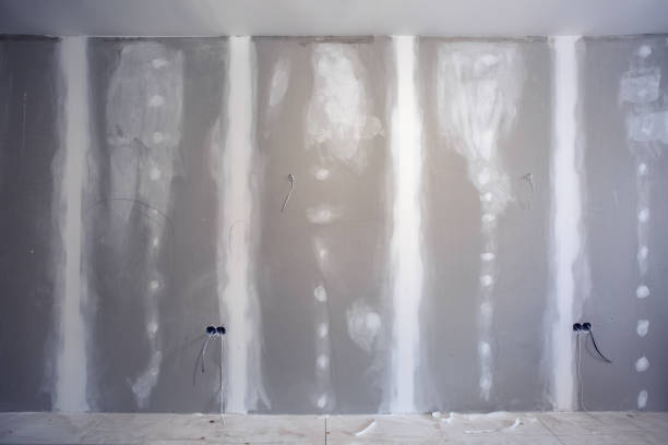  Wmington, IL Mold Removal Pros